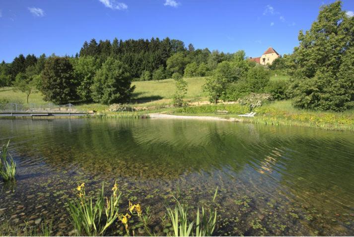 Schlosshotel Obermayerhofen Зеберсдорф Экстерьер фото